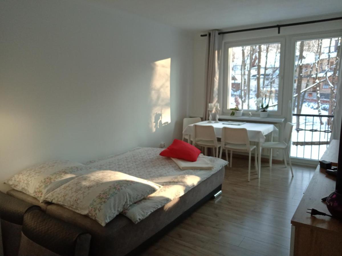 Apartament Zuzia Apartament Zakopane Zewnętrze zdjęcie