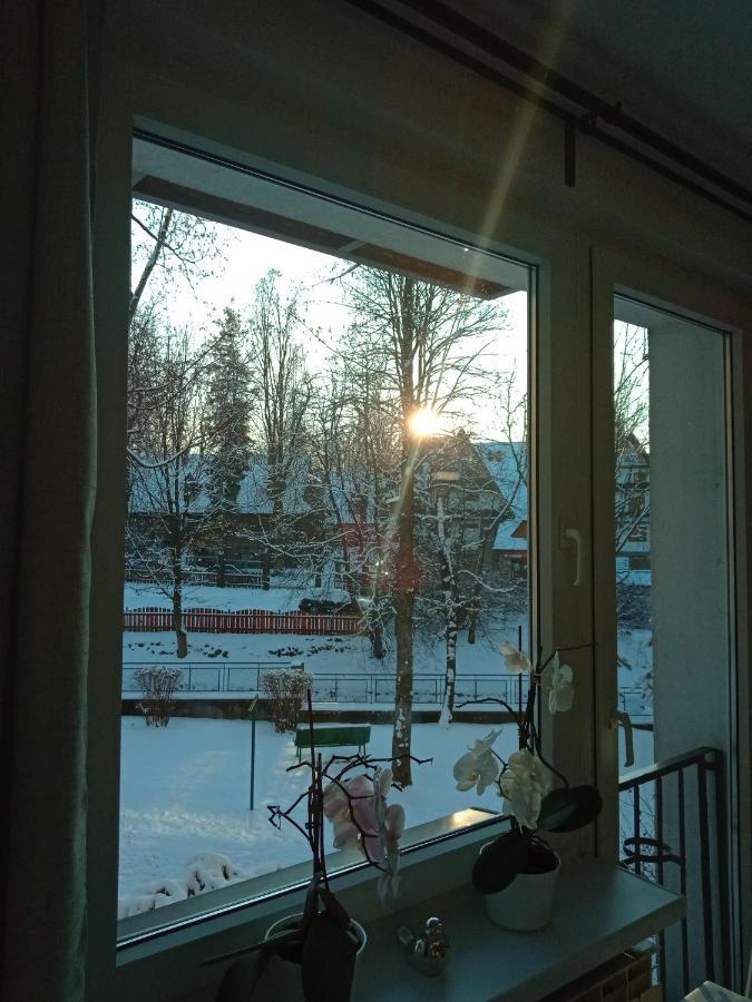 Apartament Zuzia Apartament Zakopane Zewnętrze zdjęcie